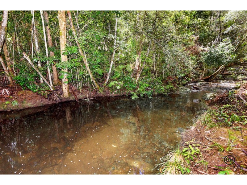 1653 Eastern Dorrigo Way, Ulong NSW 2450