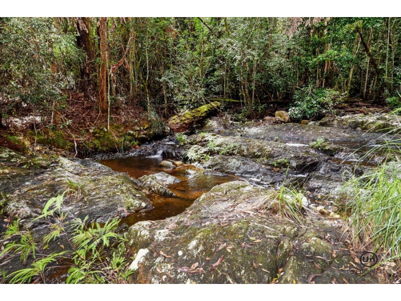 1653 Eastern Dorrigo Way, Ulong NSW 2450