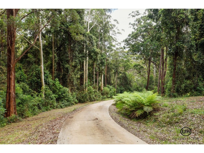 1653 Eastern Dorrigo Way, Ulong NSW 2450