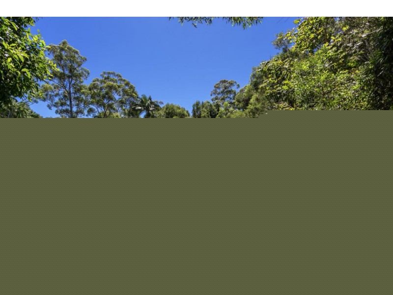 221 Mylestom Drive, Repton NSW 2454