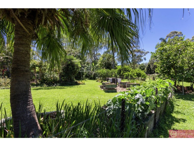 221 Mylestom Drive, Repton NSW 2454