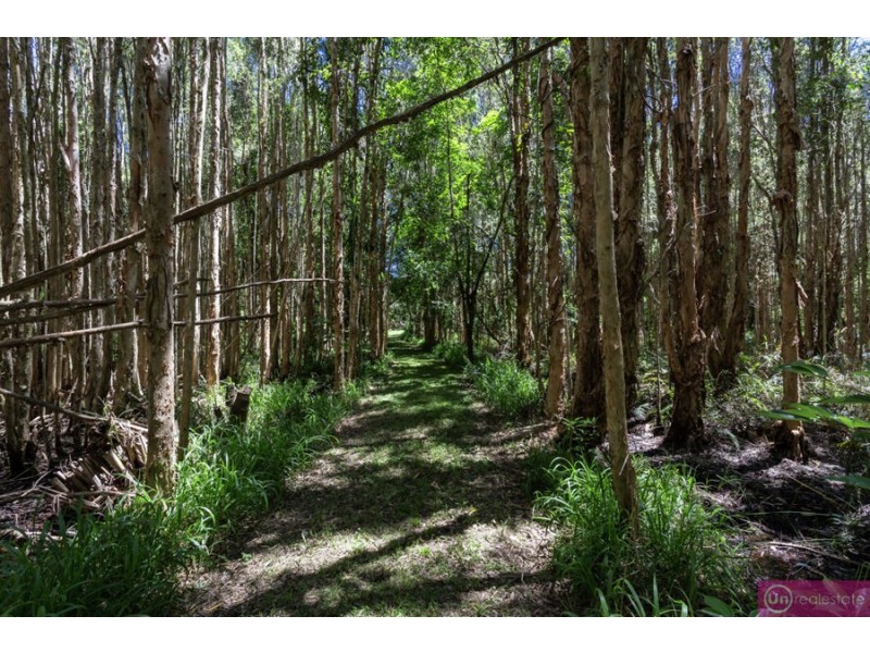 221 Mylestom Drive, Repton NSW 2454