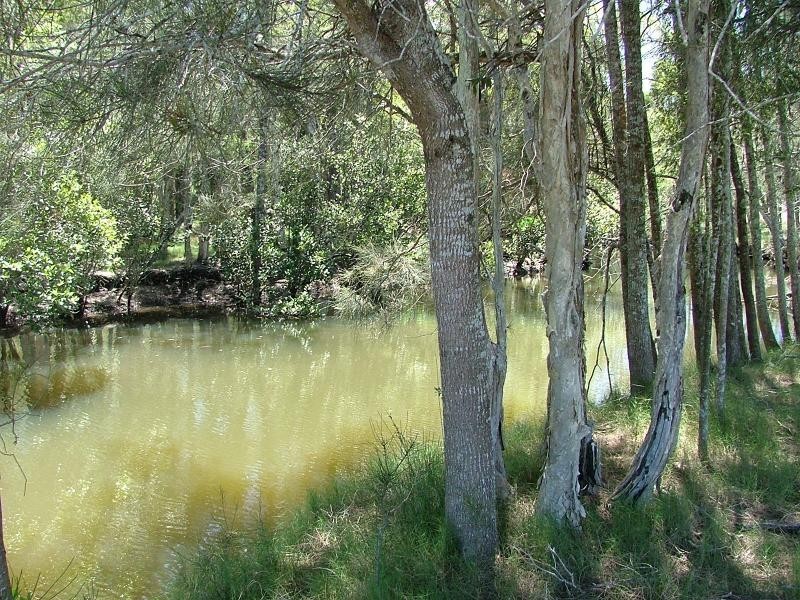 880 South Arm Road, Urunga NSW 2455