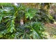 26 Lyon Street, Repton NSW 2454