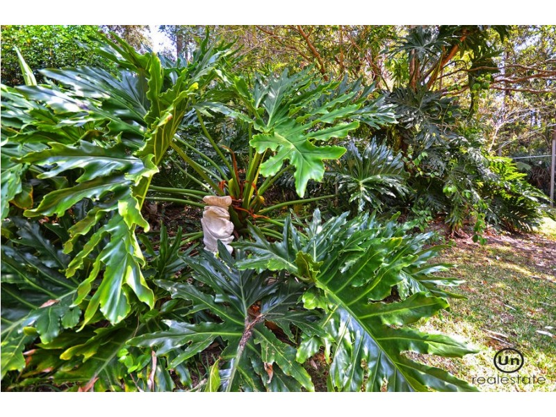 26 Lyon Street, Repton NSW 2454