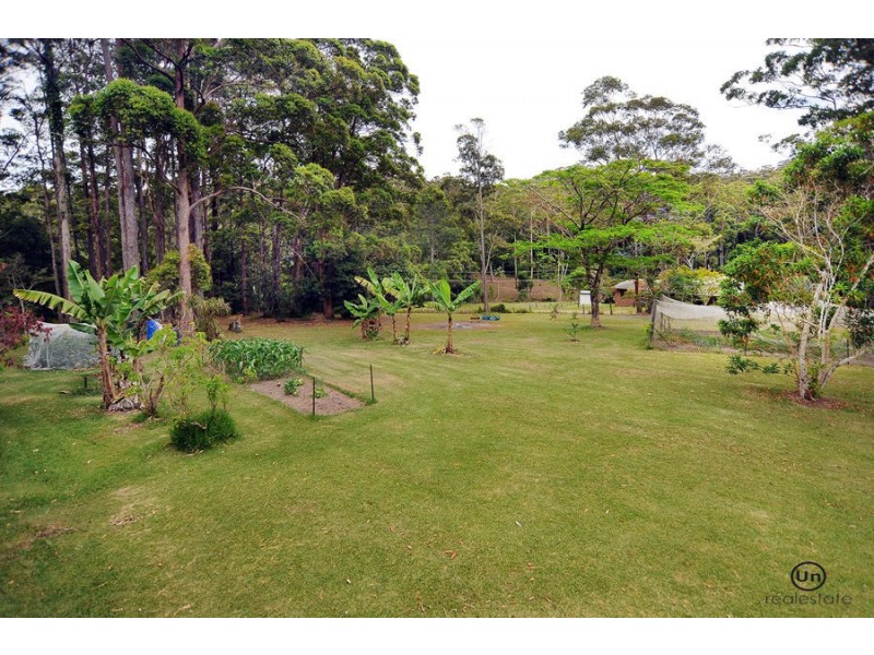 99 Forest Drive, Repton NSW 2454