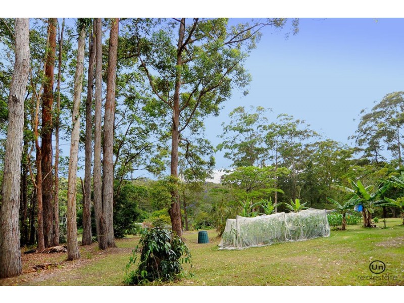 99 Forest Drive, Repton NSW 2454