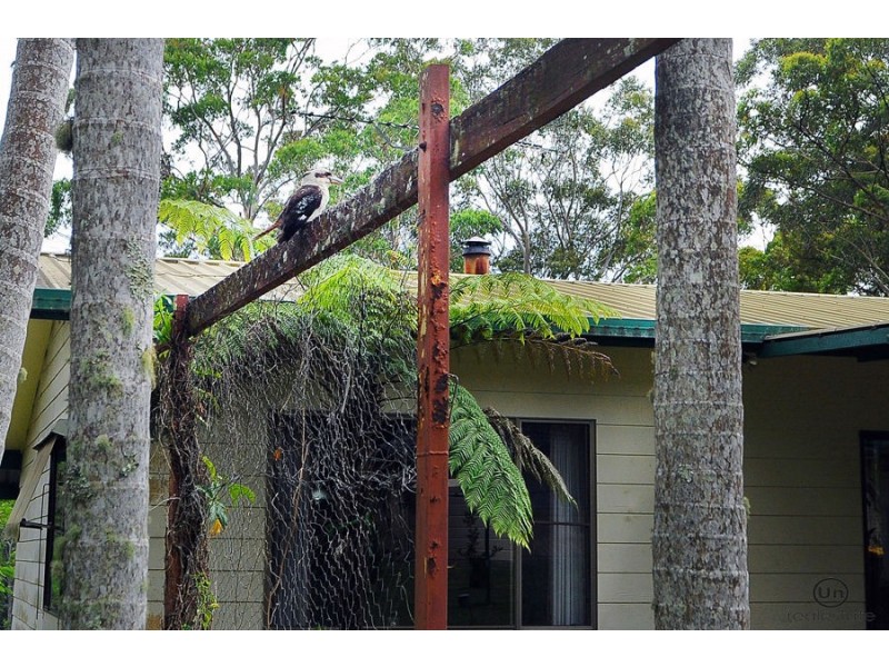 99 Forest Drive, Repton NSW 2454