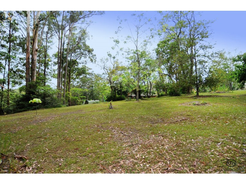 99 Forest Drive, Repton NSW 2454