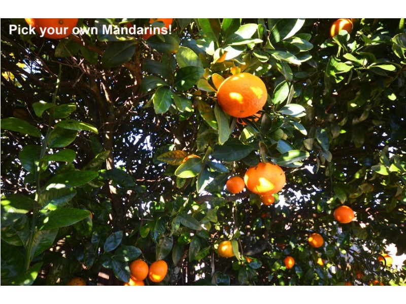 30 Cavanaghs Road, Lowanna NSW 2450