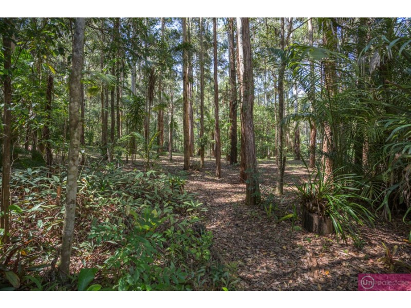 78 Lyon Street, Repton NSW 2454