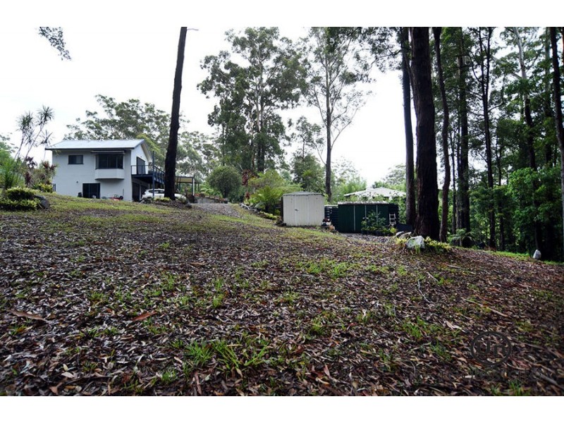 56 Joeliza Drive, Repton NSW 2454