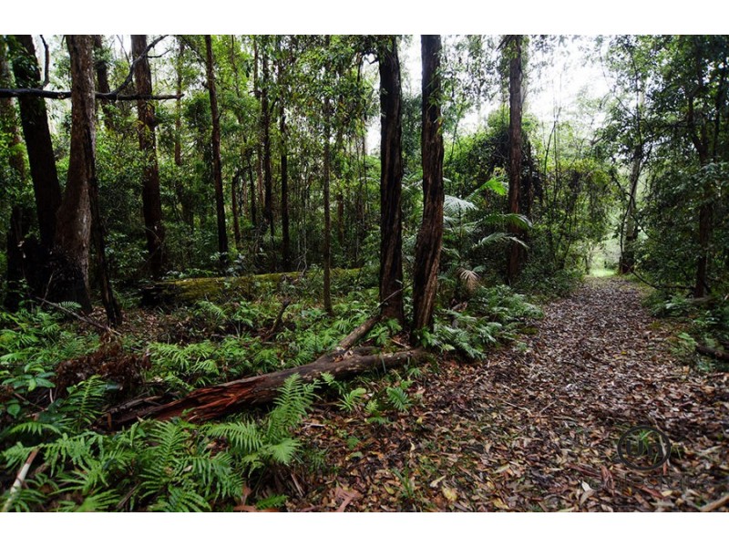 56 Joeliza Drive, Repton NSW 2454