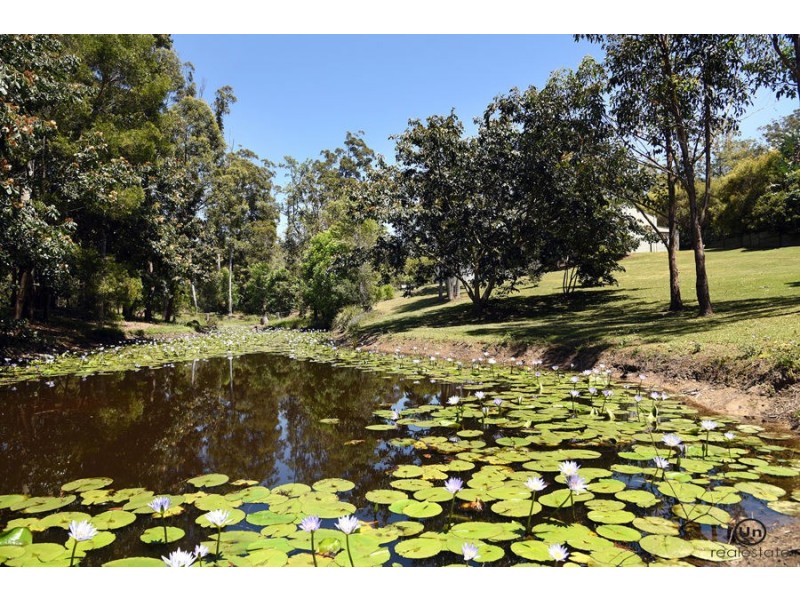 11 Bellbird Close, Moonee Beach NSW 2450