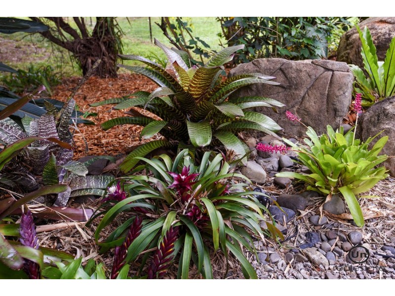 950 Orara Way, Nana Glen NSW 2450