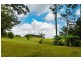 1653 Eastern Dorrigo Way, Ulong NSW 2450