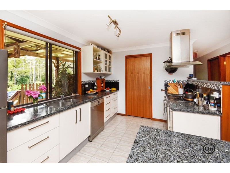 1653 Eastern Dorrigo Way, Ulong NSW 2450