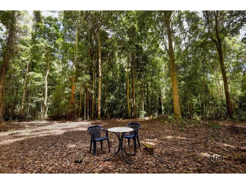 1653 Eastern Dorrigo Way, Ulong NSW 2450