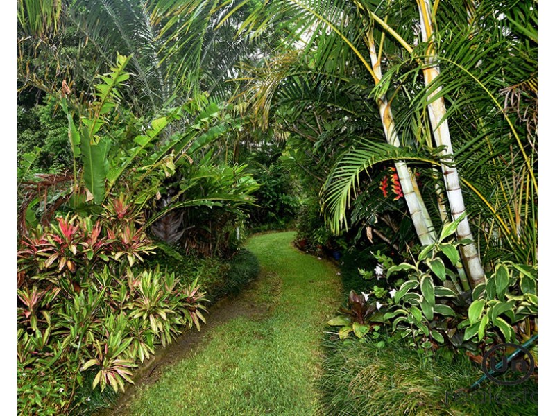 3 Scenic Place, Boambee East NSW 2452