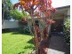 40 Worland Drive, Boambee East NSW 2452