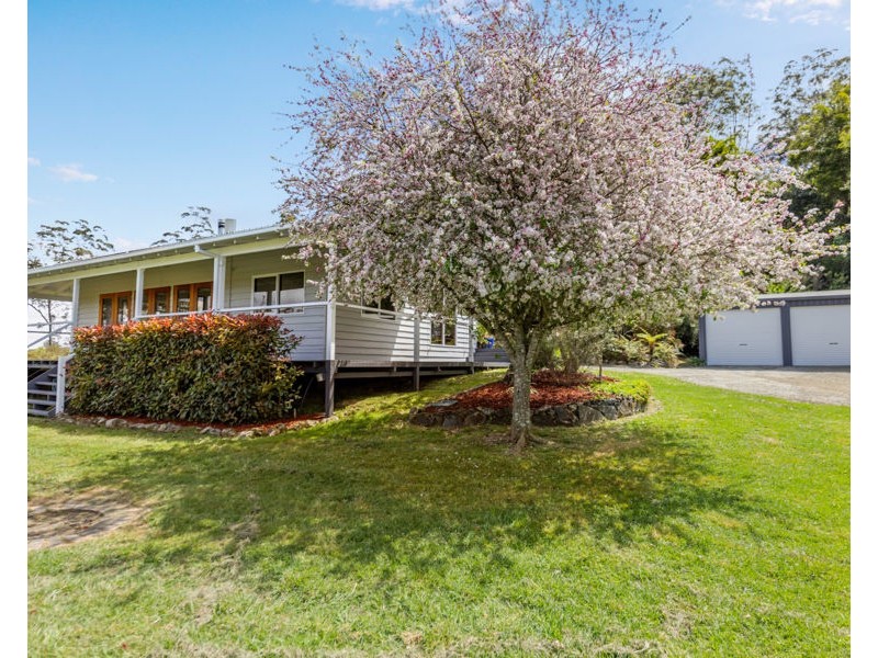 259 Camp Creek Road, Lowanna NSW 2450