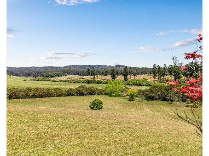 259 Camp Creek Road, Lowanna NSW 2450