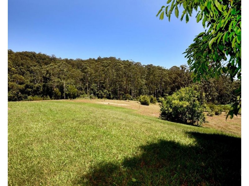 222 Coldwater Creek Road, Nana Glen NSW 2450