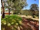 222 Coldwater Creek Road, Nana Glen NSW 2450
