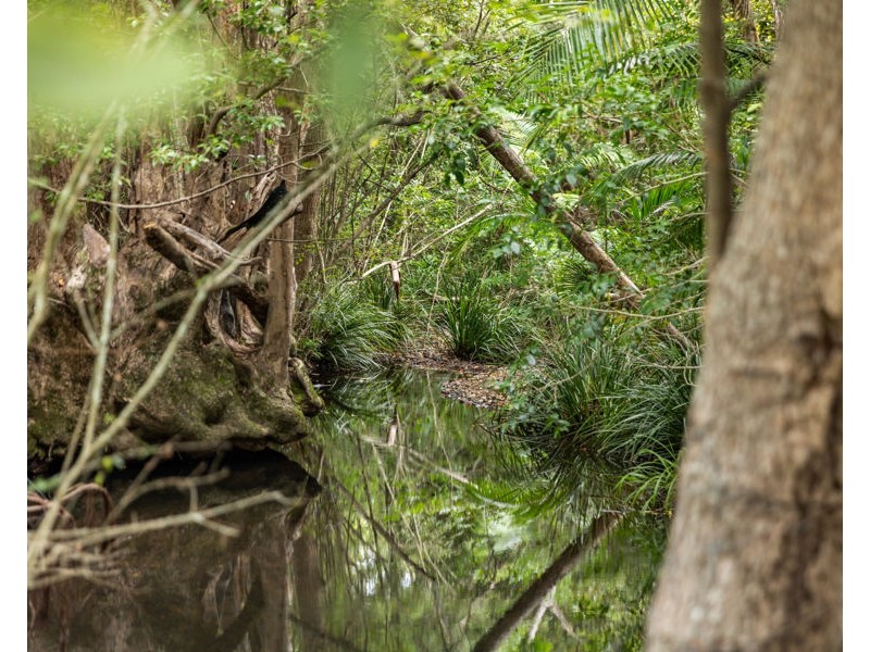 279-279a North Bonville Road, Bonville NSW 2441