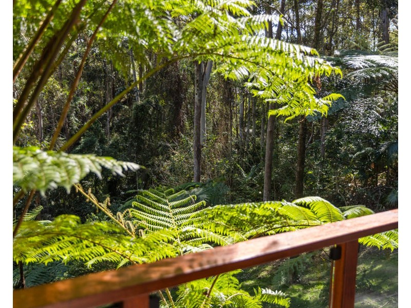 30 Tuckers Rock Road, Repton NSW 2454