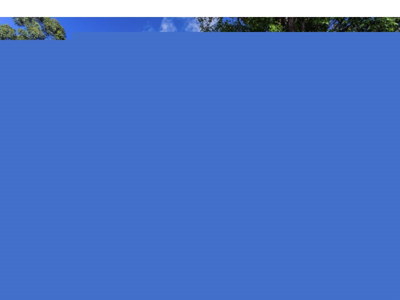 197 Linden Avenue, Boambee East NSW 2452