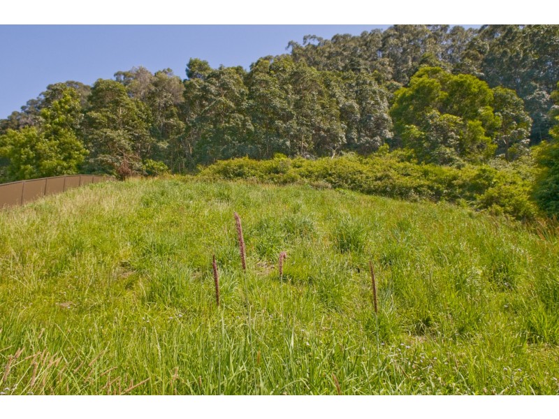 Coffs Harbour NSW 2450
