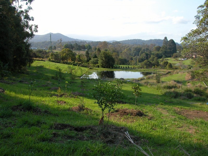 13a Eckford Close, Boambee East NSW 2452