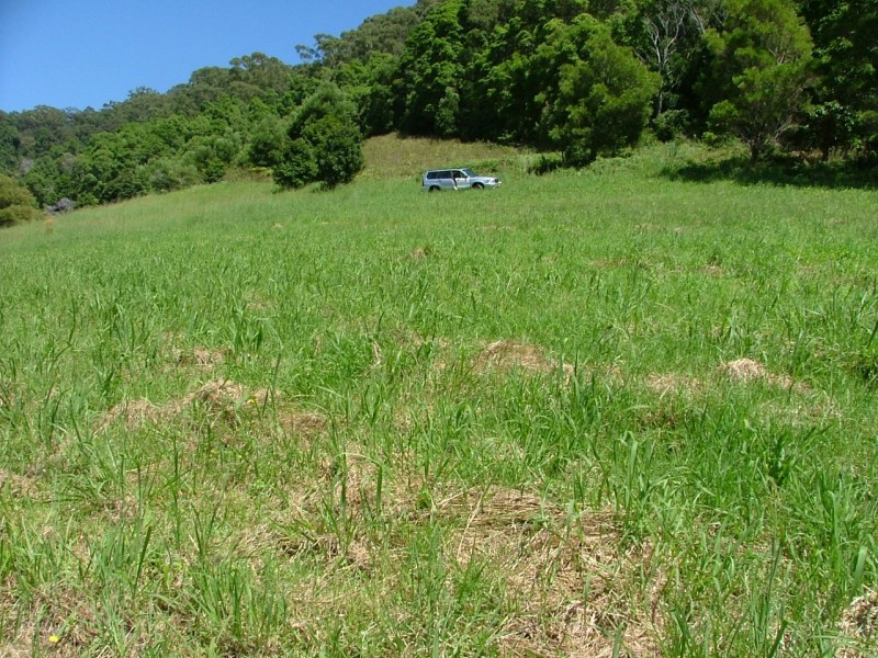 Coffs Harbour NSW 2450