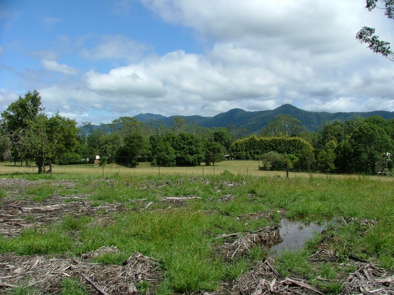 Lot 562 Cabbage Palm Lane, Bonville NSW 2441