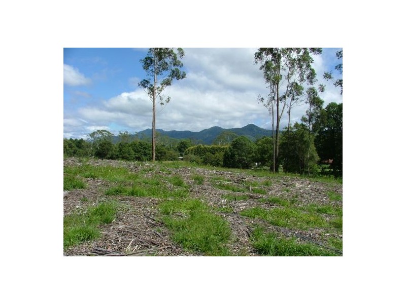 Lot 563 Cabbage Palm Road, Bonville NSW 2441