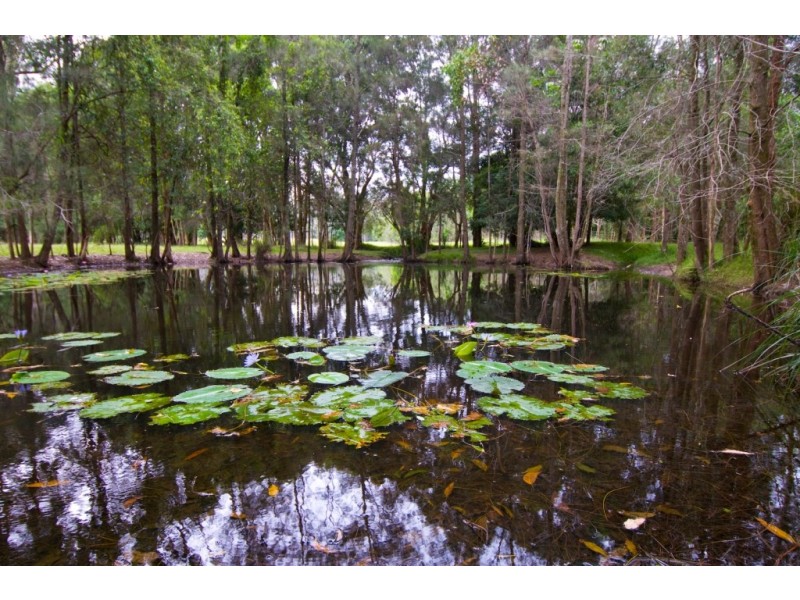 80  Williams Road, Bonville NSW 2441