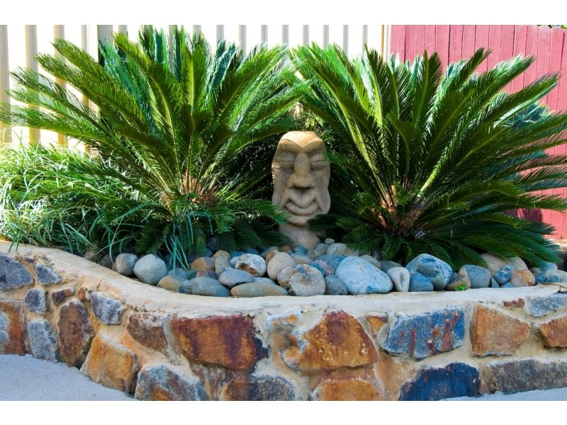 Boambee East NSW 2452