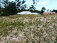 North Boambee Valley NSW 2450