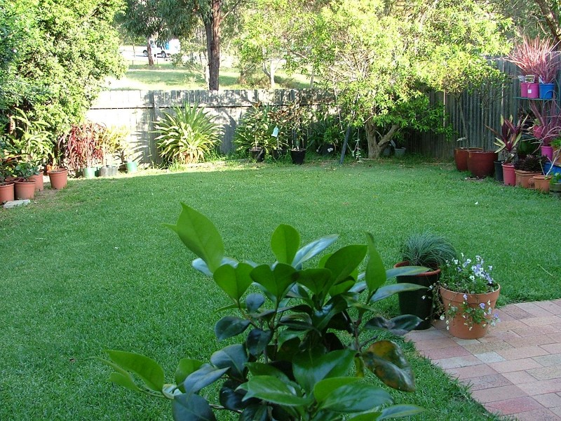 Boambee East NSW 2452