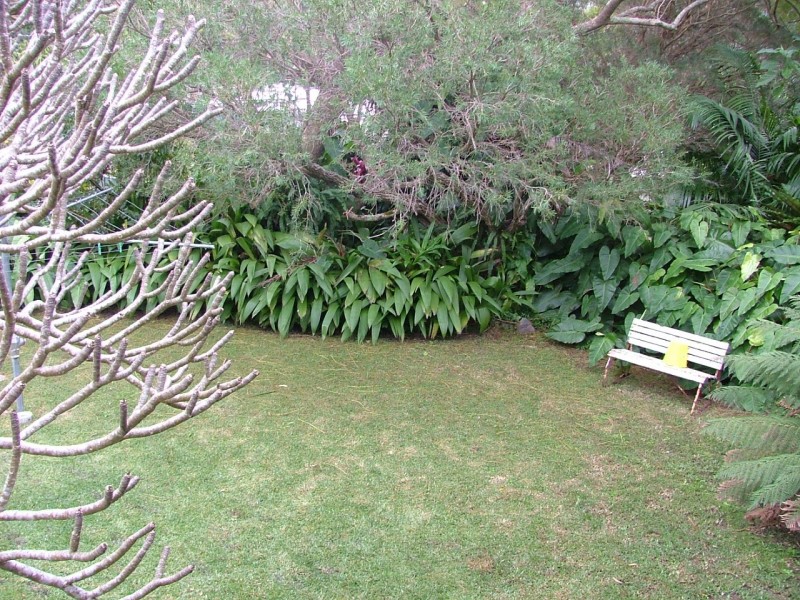 16 Brown Avenue Sawtell, Sawtell NSW 2452