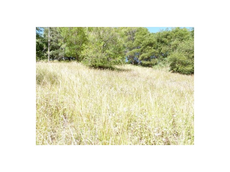 110 Ayrshire Park Drive, Boambee NSW 2450