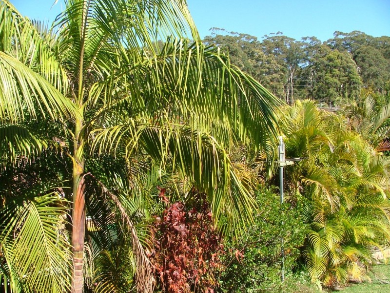 26 Dewing Close, Toormina NSW 2452