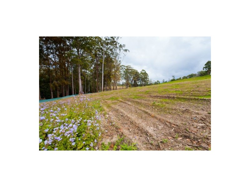 Lot 7 Lakeview Estate, Bonville NSW 2441