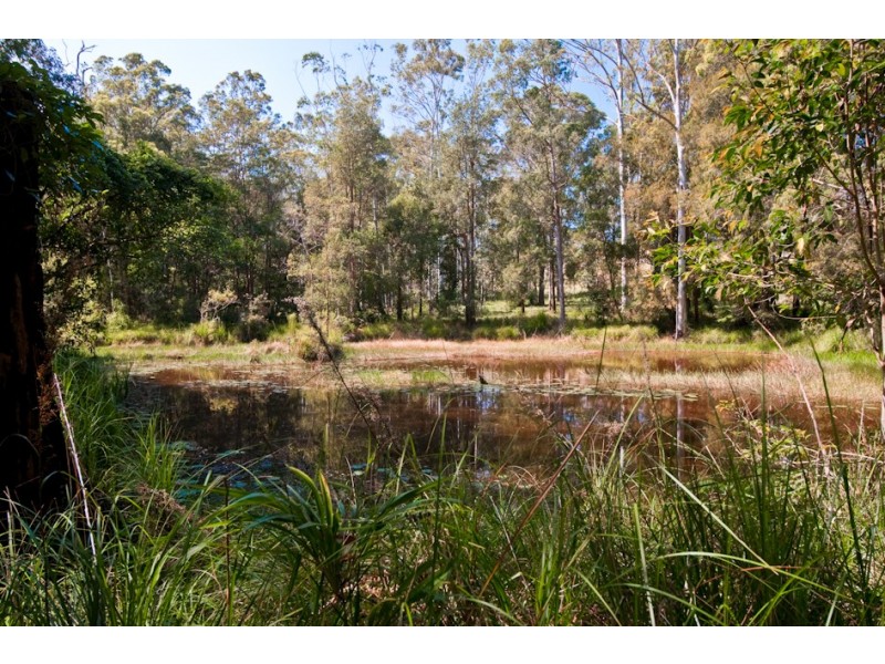 Lot 111 Lakeview Estate, Bonville NSW 2441