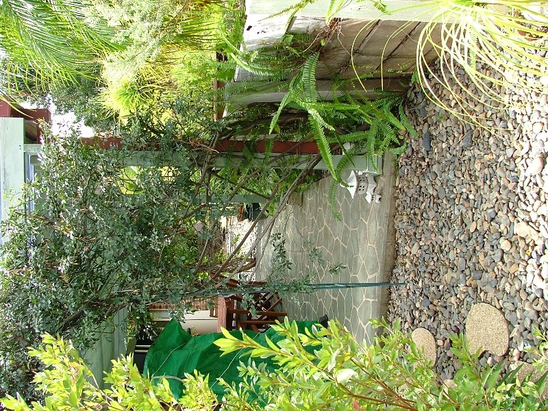 Boambee East NSW 2452