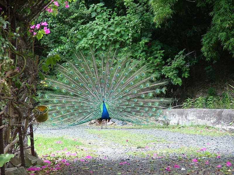 Sapphire Beach NSW 2450