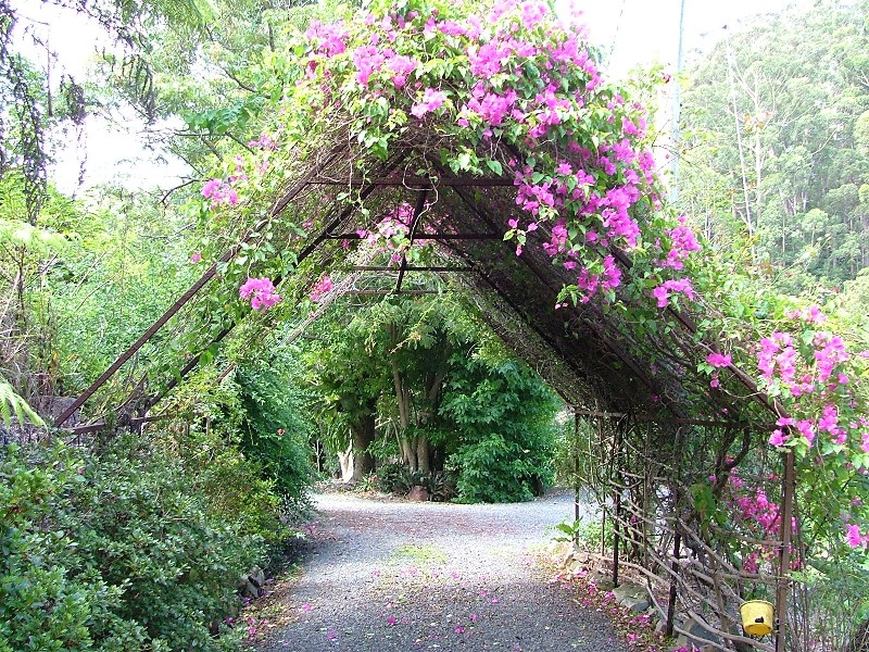 Sapphire Beach NSW 2450