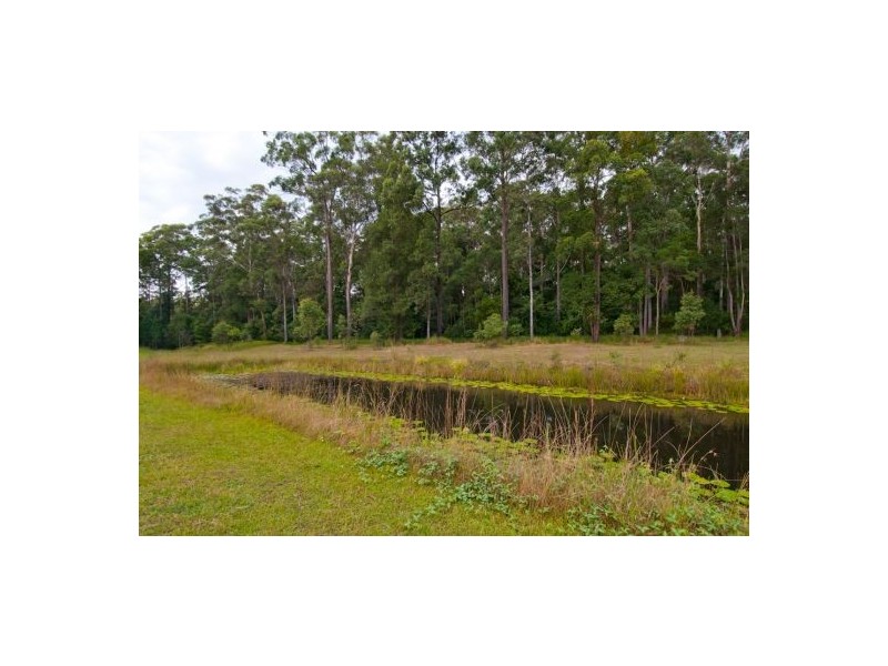 17 Lyndhurst Close, Moonee Beach NSW 2450