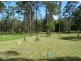 Lot 243 Lake Russell Drive, Emerald Beach NSW 2456
